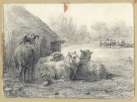 202555 Afbeelding van enkele schapen bij een schaapskooi in het park van de buitenplaats Beukenburg aan de ...